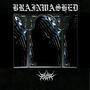 Brainwashed (Explicit)