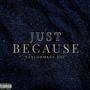 JUST BECAUSE (Explicit)