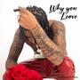 Why You Leave (Explicit)