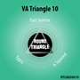 VA Triangle 10