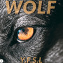 WOLF (Explicit)