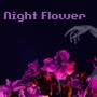 Night Flower