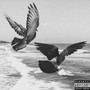 South San Diego (Explicit)
