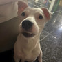 Kita Na Ang Ngiti