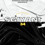 Sgiyani 34