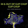 In & Out Of Gup Chup Gup Chup (Ric Aires Mashup)