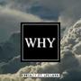 Why (feat. Life Lava) [Explicit]