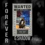 Forever (Explicit)