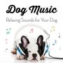 Music for Dogs - Relaxing Sounds for Your Dog (Explicit)