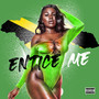 Entice Me (Explicit)