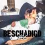 Beschadigd (Explicit)