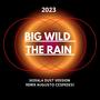 Big Wild (The Rain -) (Kerala Dust Remix Remix Edit)