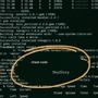 cheat code (Explicit)