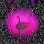 LOVE POTION