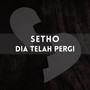 dia telah pergi