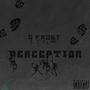 Perception (Explicit)