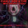 I Can't Breathe Without You (feat. Xerogangg & prod. everestdidthis) [Explicit]