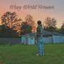 Wavy World Forever (Explicit)