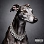 PARADISE LIVING (Explicit)