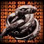 Dead Or Alive (Explicit)