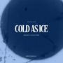 Cold As Ice (feat. Junior Paes)