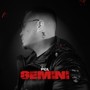 Gemini (Explicit)