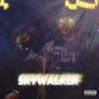 Skywalker (feat. RichCurryyy) [Explicit]