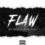 Flaw (Explicit)