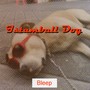 Istambull Dog