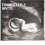 Trimester 2 (Explicit)