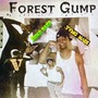 Forest Gump (feat. Yvng Nadi) [Explicit]