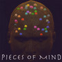 Pieces of Mind