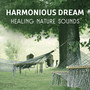 Harmonious Dream - Healing Nature Sounds for Trouble Sleeping, Tranquil Music to Help You Relax & Calm Down, Peaceful Melodies for Sweet Dreams