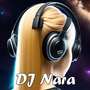 Dj goyang lumba lumba Inst