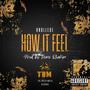 How It Feel (feat. Knollege) [Explicit]