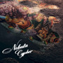 NEBUTA CYPHER (feat. Lickeyyy saLa, OG chainz 左流, VCE NAVA & Bob Lee Hyg) [Explicit]