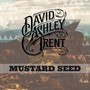 Mustard Seed