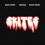 SKITES (feat. Cenisaz & ROOKI) [Explicit]