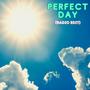 Perfect Day (Radio Edit)