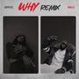 Why (feat. Bakilla) [Remix]