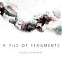 A Pile Of Fragments