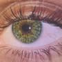 Grüne Augen lügen nicht (Explicit)