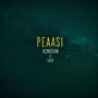 Peaasi (feat. LØJR)