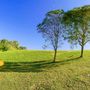 Colitry Expanse
