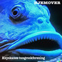 Hjemover