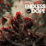 Endless Dope (Explicit)