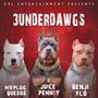 3 UNDERDAWGS (feat. Benji Flo & Mvplug Quesus) [Explicit]