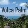 Volca Palm