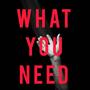 What You Need (Testimony) [Explicit]