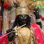 Krishnaya Vasudevaya